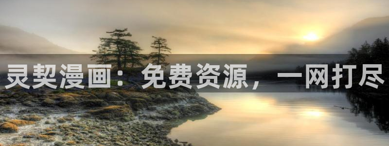 漫蛙漫画官方版正版入口网页看漫画：灵契漫画：免费资源，一网打尽