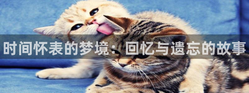 漫蛙2正版：时间怀表的梦境：回忆与遗忘的故事