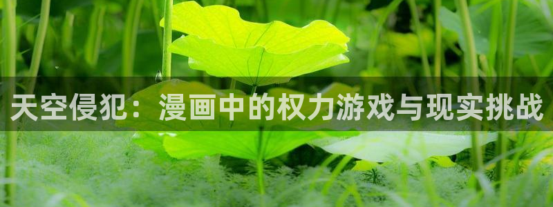 怎么登录漫蛙：天空侵犯：漫画中的权力游戏与现实挑战