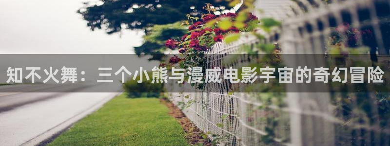 魔咒在漫蛙里搜不到：知不火舞：三个小熊与漫威电影宇宙的奇幻冒险