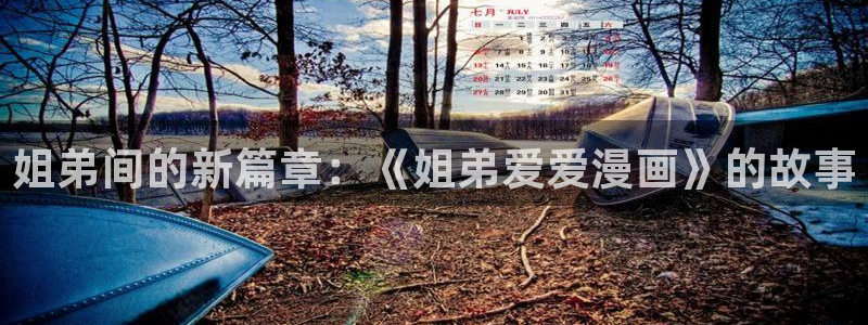 漫蛙安卓版：姐弟间的新篇章：《姐弟爱爱漫画》的故事