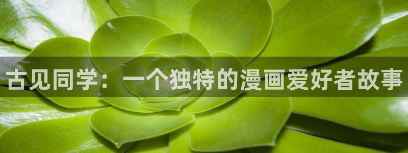 漫蛙新链接：古见同学：一个独特的漫画爱好者故事