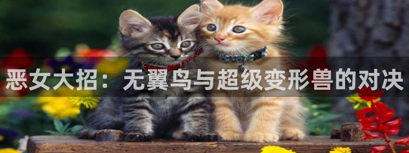 www.漫蛙com：恶女大招：无翼鸟与超级变形兽的对决