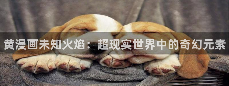 漫蛙哦：黄漫画未知火焰：超现实世界中的奇幻元素