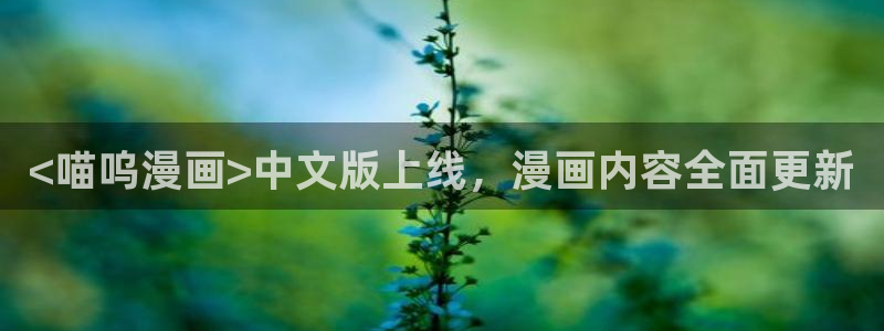漫蛙漫画网：<喵呜漫画>中文版上线，漫画内容全面更新
