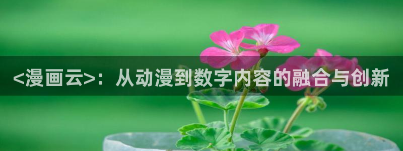 漫蛙manwa漫画官网网址：<漫画云>：从动漫到数字内容的融合与创新